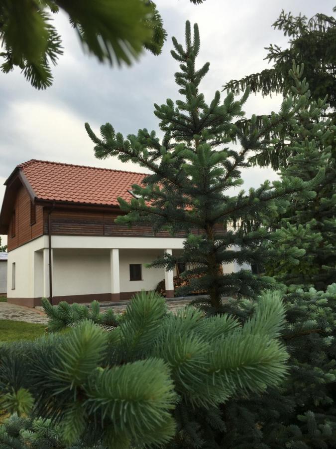 Pokoje Kasztanowa Wilkasy Ngoại thất bức ảnh